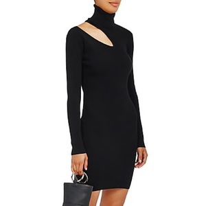 Emerald A.L.C Rib-knit Turtleneck Sweater dress